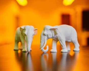 Bild-20240313-123956-4a0335fa-768x512