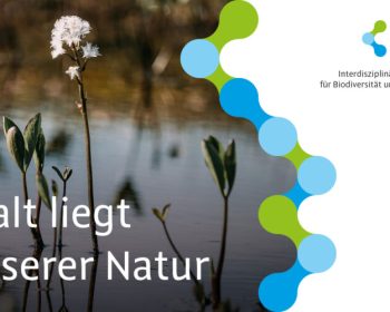 ICEB-web-sc2-e1763746974190 (1)