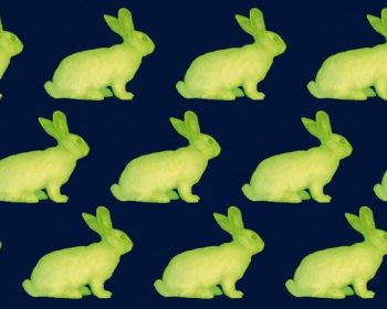 genos08_Cover-e1411935712721 (1)